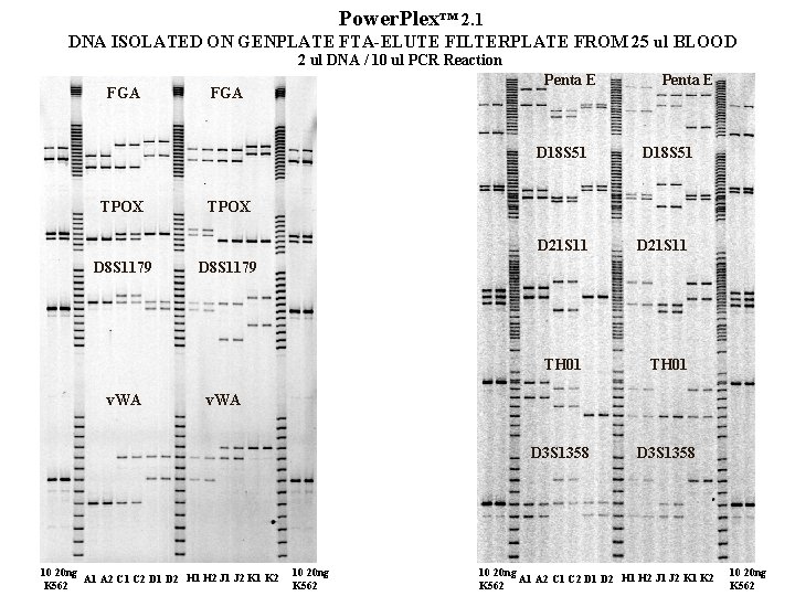 Power. Plex™ 2. 1 DNA ISOLATED ON GENPLATE FTA-ELUTE FILTERPLATE FROM 25 ul BLOOD