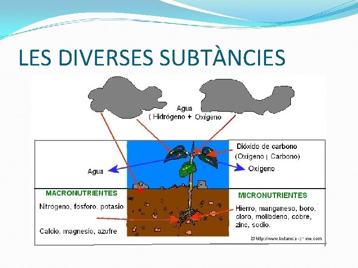 LES DIVERSES SUBTÀNCIES 