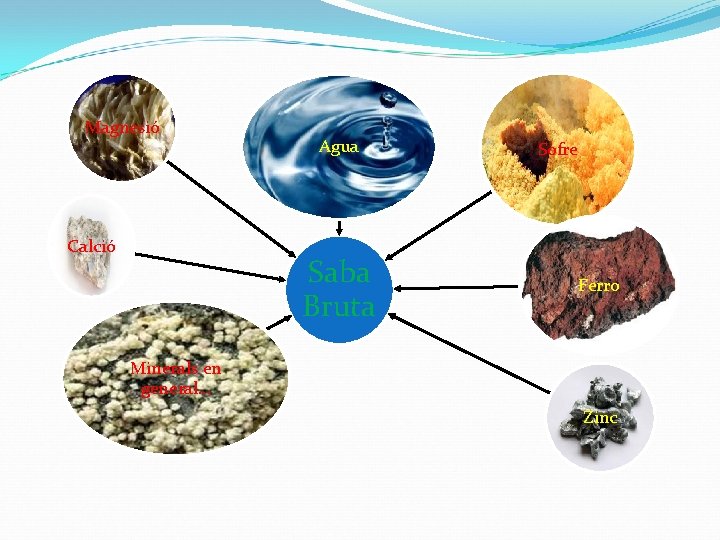 Magnesió Calció Agua Saba Bruta Sofre Ferro Minerals en general… Zinc 