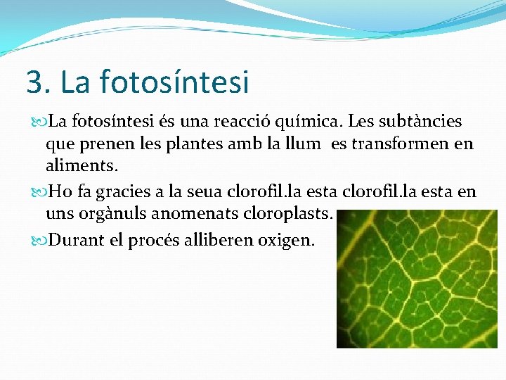 3. La fotosíntesi és una reacció química. Les subtàncies que prenen les plantes amb