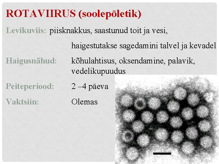 ROTAVIIRUS (soolepõletik) Levikuviis: piisknakkus, saastunud toit ja vesi, haigestutakse sagedamini talvel ja kevadel Haigusnähud:
