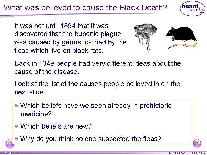 What was believed to cause the Black Death? It was not until 1894 that