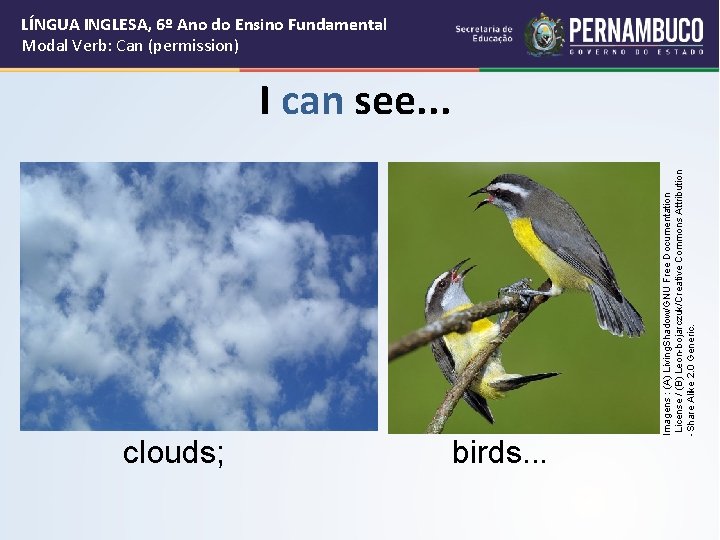 clouds; birds. . . Imagens : (A) Living. Shadow/GNU Free Documentation License / (B)