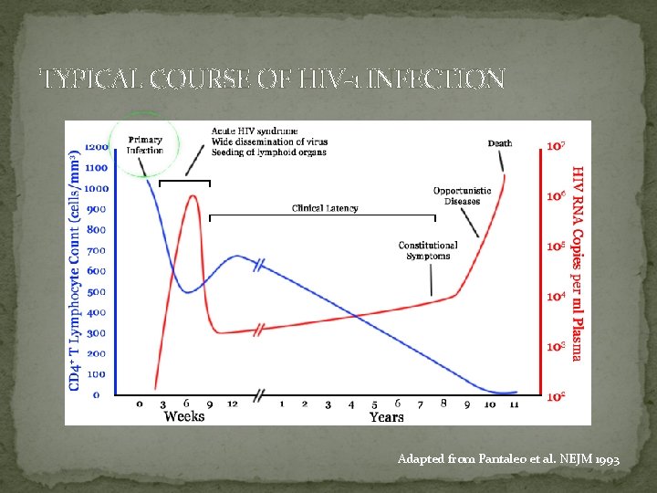 TYPICAL COURSE OF HIV-1 INFECTION Adapted from Pantaleo et al. NEJM 1993 