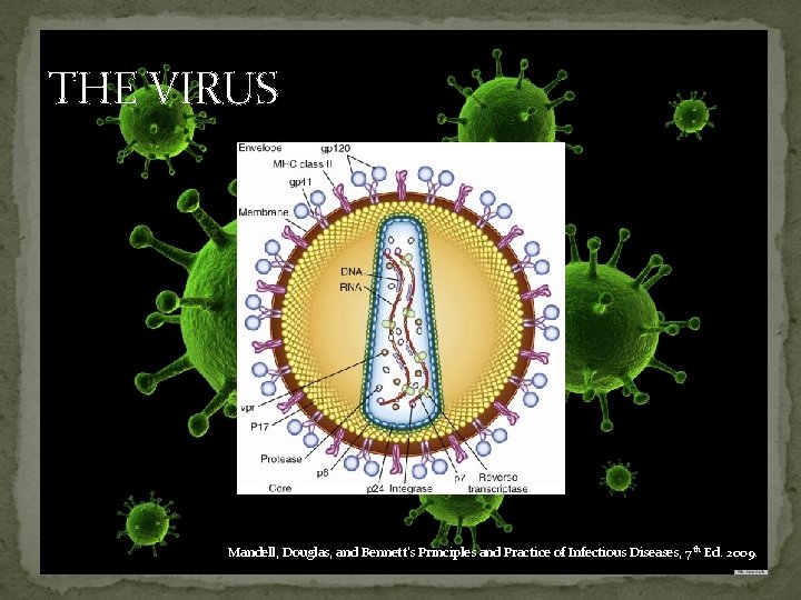 THE VIRUS Mandell, Douglas, and Bennett's Principles and Practice of Infectious Diseases, 7 th