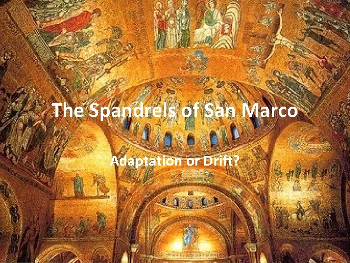 The Spandrels of San Marco Adaptation or Drift? 