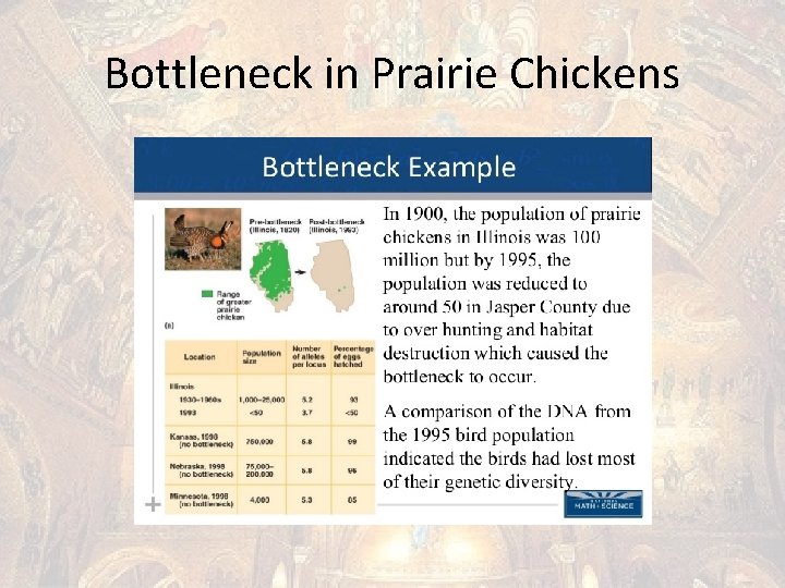 Bottleneck in Prairie Chickens 