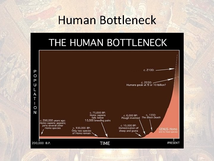 Human Bottleneck 