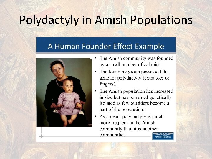 Polydactyly in Amish Populations 