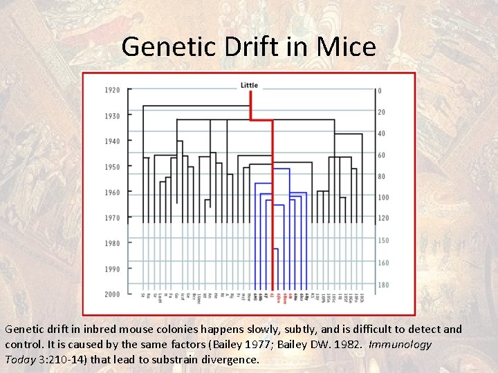 Genetic Drift in Mice Genetic drift in inbred mouse colonies happens slowly, subtly, and