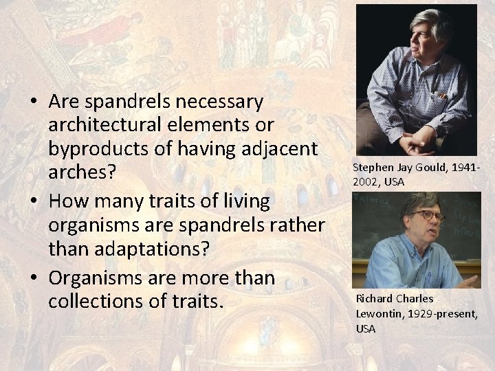  • Are spandrels necessary architectural elements or byproducts of having adjacent arches? •