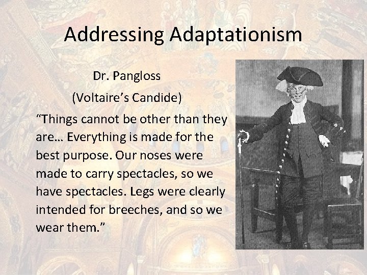 Addressing Adaptationism Dr. Pangloss (Voltaire’s Candide) “Things cannot be other than they are… Everything