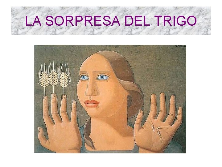 LA SORPRESA DEL TRIGO 