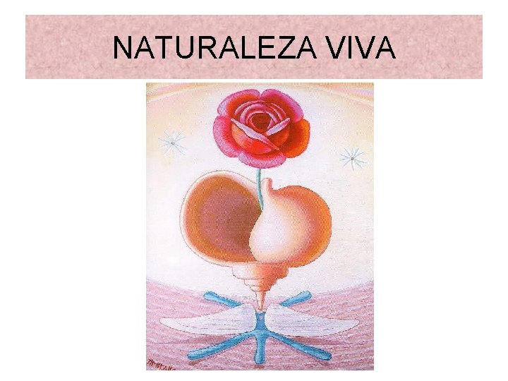 NATURALEZA VIVA 