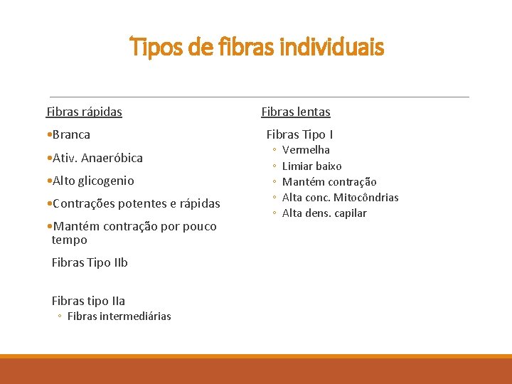 Tipos de fibras individuais Fibras rápidas • Branca • Ativ. Anaeróbica • Alto glicogenio Tipos de fibras individuais Fibras rápidas • Branca • Ativ. Anaeróbica • Alto glicogenio
