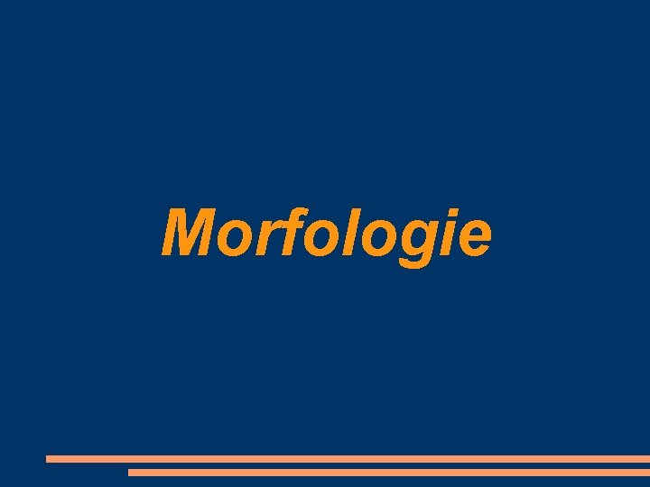 Morfologie 