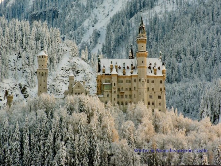 Winter in Neuschwanstein Castle 