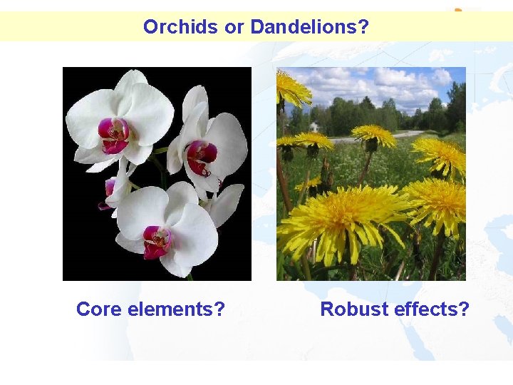 Orchids or Dandelions? Core elements? Robust effects? 