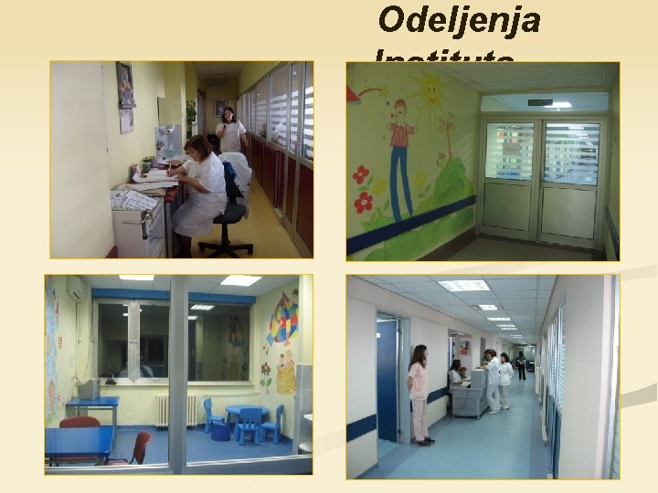 Odeljenja Instituta. . . 