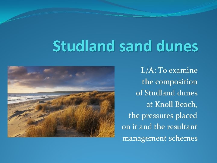 Studland sand dunes L/A: To examine the composition of Studland dunes at Knoll Beach,