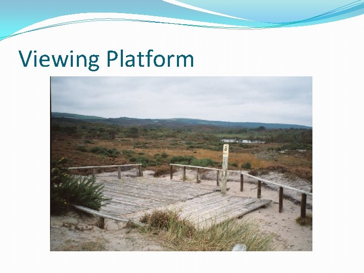 Viewing Platform 