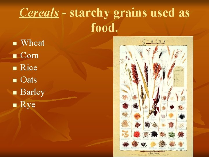 Cereals - starchy grains used as food. n n n Wheat Corn Rice Oats