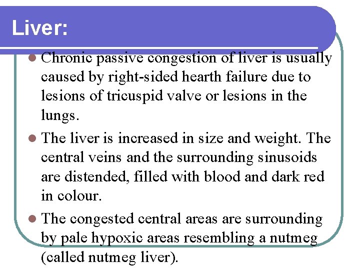 Liver: Chronic passive congestion of liver is usually caused by right-sided hearth failure due