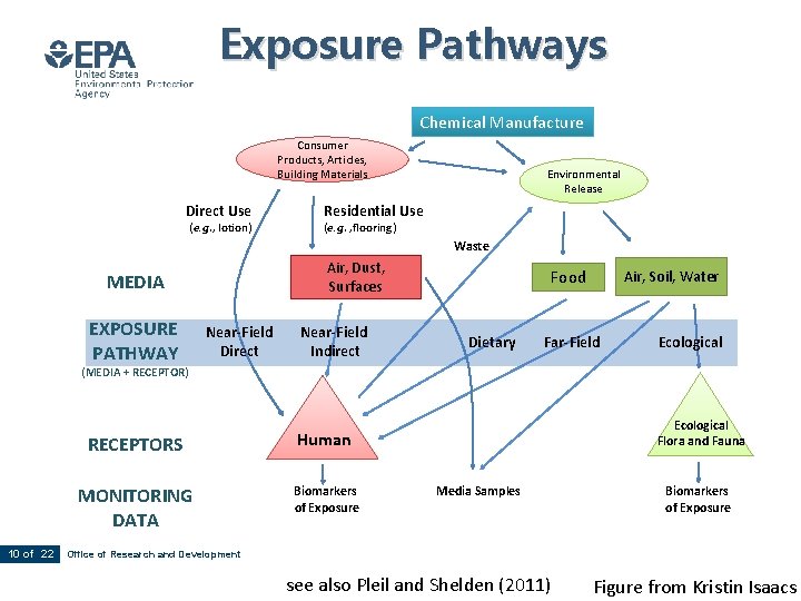 Exposure Pathways Chemical Manufacture Consumer Products, Articles, Building Materials Direct Use (e. g. ,