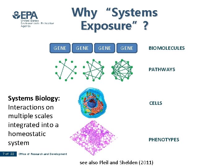 Why “Systems Exposure”? GENE BIOMOLECULES PATHWAYS Systems Biology: Interactions on multiple scales integrated into