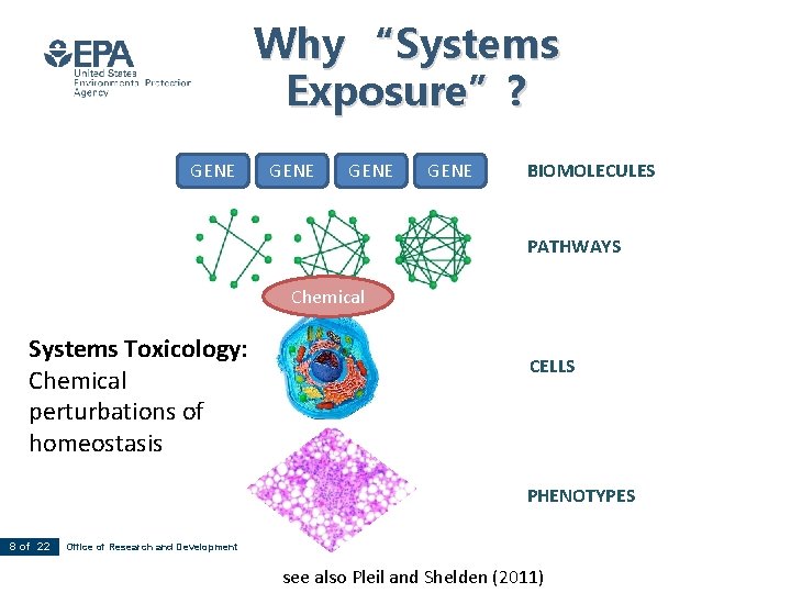 Why “Systems Exposure”? GENE BIOMOLECULES PATHWAYS Chemical Systems Toxicology: Chemical perturbations of homeostasis CELLS