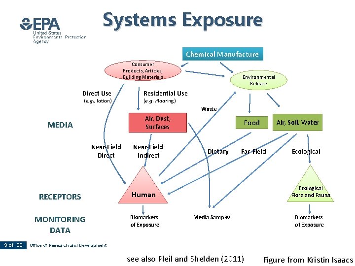 Systems Exposure Chemical Manufacture Consumer Products, Articles, Building Materials Direct Use (e. g. ,