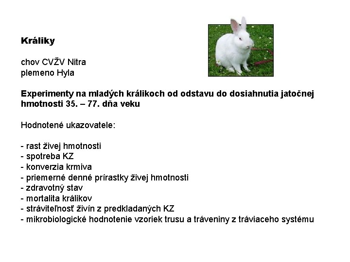 Králiky chov CVŽV Nitra plemeno Hyla Experimenty na mladých králikoch od odstavu do dosiahnutia