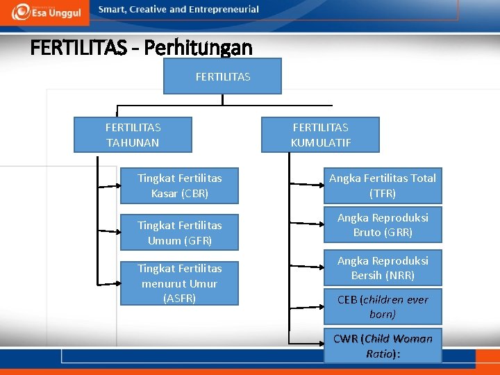 FERTILITAS - Perhitungan FERTILITAS TAHUNAN Tingkat Fertilitas Kasar (CBR) Tingkat Fertilitas Umum (GFR) Tingkat