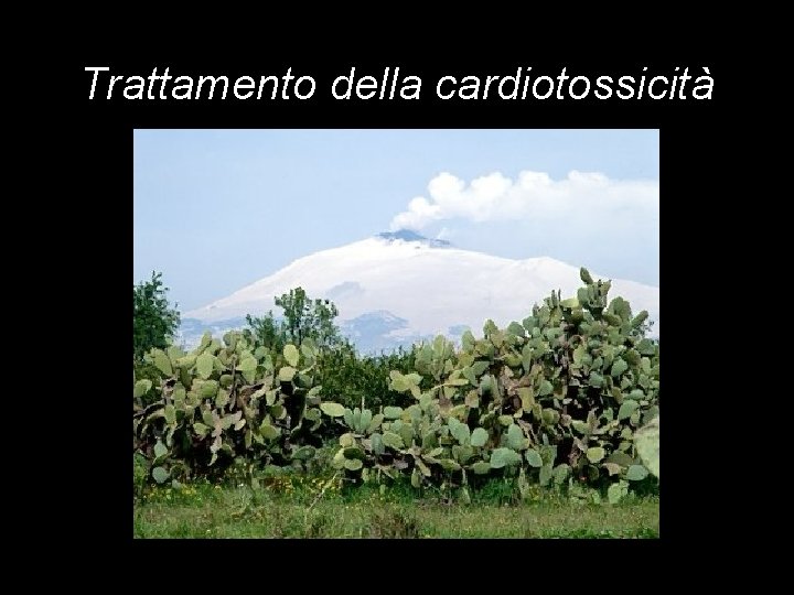 Trattamento della cardiotossicità 