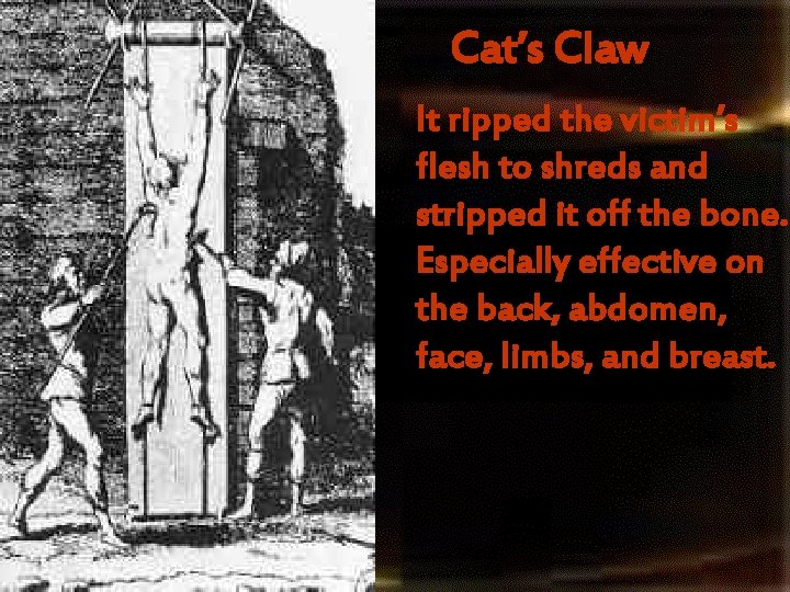 Cat’s Claw It ripped the victim’s flesh to shreds and stripped it off the Cat’s Claw It ripped the victim’s flesh to shreds and stripped it off the