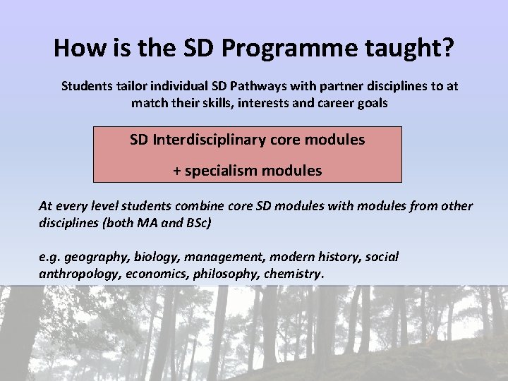 How is the SD Programme taught? Students tailor individual SD Pathways with partner disciplines