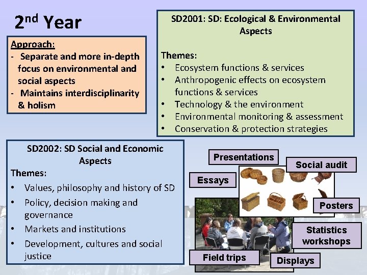 2 nd Year Approach: - Separate and more in-depth focus on environmental and social