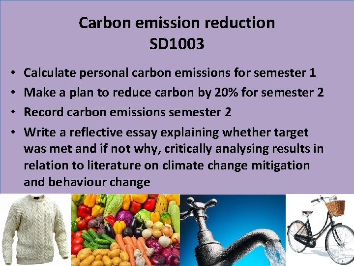 Carbon emission reduction SD 1003 • • Calculate personal carbon emissions for semester 1