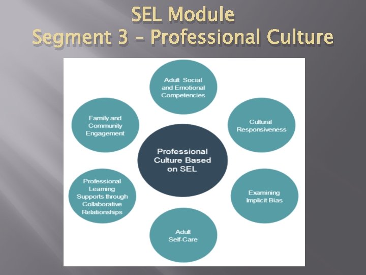 SEL Module Segment 3 – Professional Culture SEL Module Segment 3 – Professional Culture