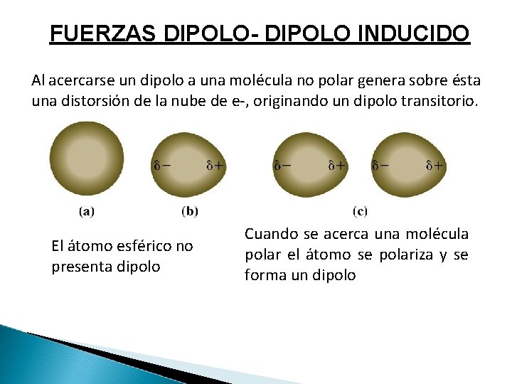 FUERZAS DIPOLO- DIPOLO INDUCIDO Al acercarse un dipolo a una molécula no polar genera