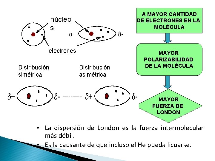 A MAYOR CANTIDAD DE ELECTRONES EN LA MOLÉCULA núcleo s electrones Distribución simétrica Distribución