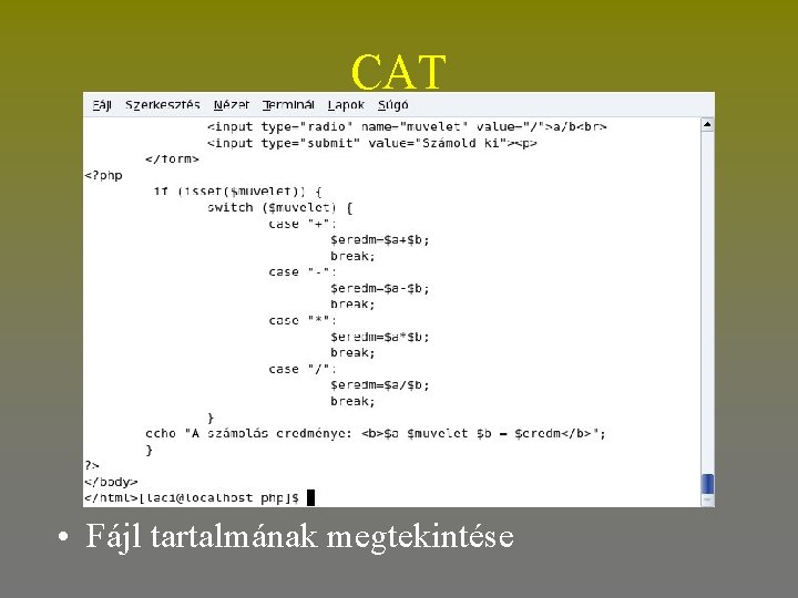 CAT • Fájl tartalmának megtekintése 