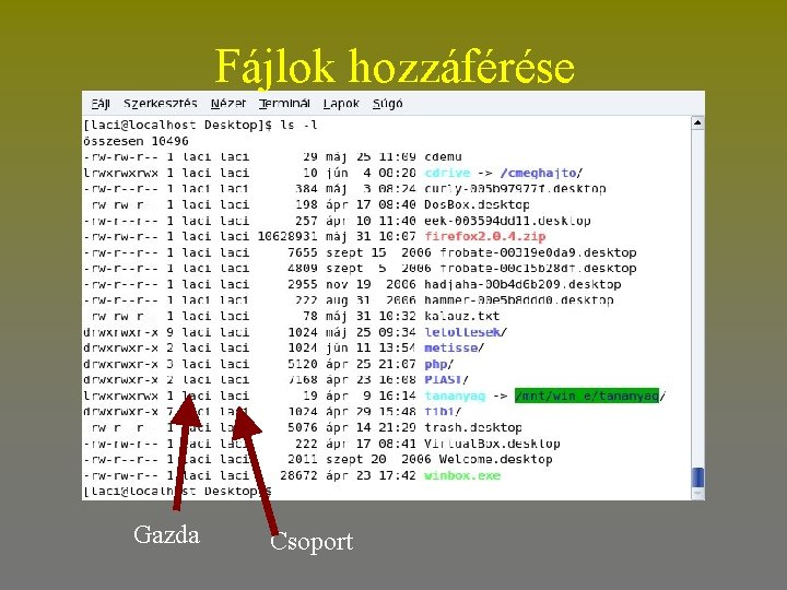 Fájlok hozzáférése Gazda Csoport 