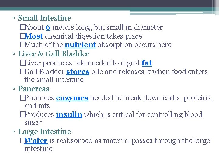 ▫ Small Intestine �About 6 meters long, but small in diameter �Most chemical digestion