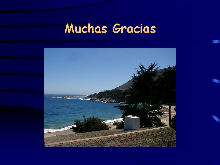 Muchas Gracias 