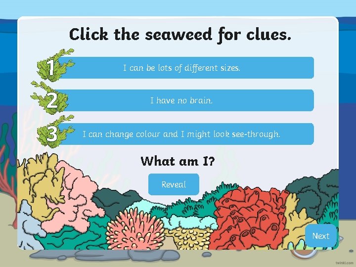Click the seaweed for clues. 1 2 3 I can be lots of different