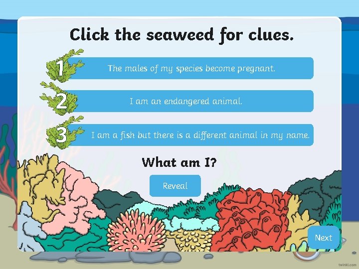 Click the seaweed for clues. 1 2 3 The males of my species become