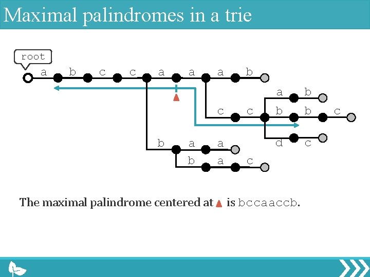 Maximal palindromes in a trie root a b c c a a a c