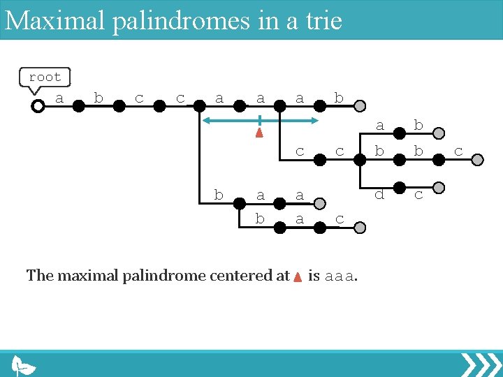 Maximal palindromes in a trie root a b c c a a a c