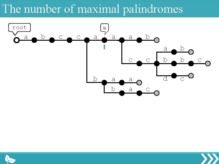 The number of maximal palindromes root a b c c a a a c